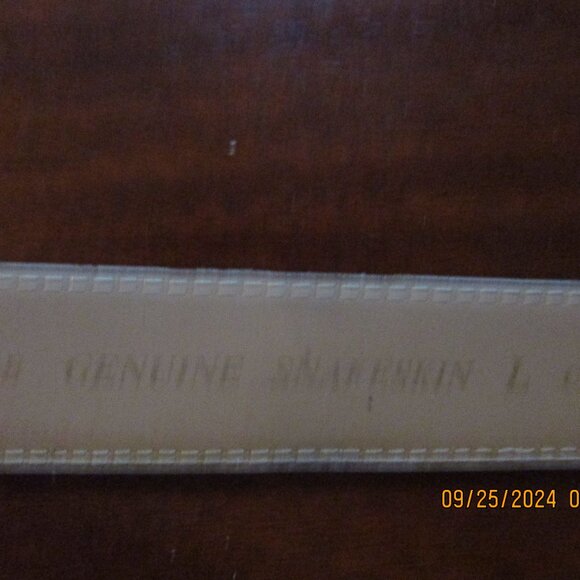 Genuine Snake Skin belt - Picture 5 of 5